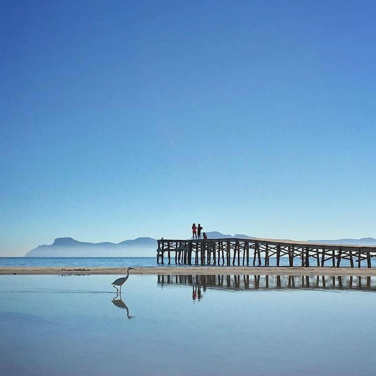 Venecia Apartments Port de Alcudia  ภายนอก รูปภาพ